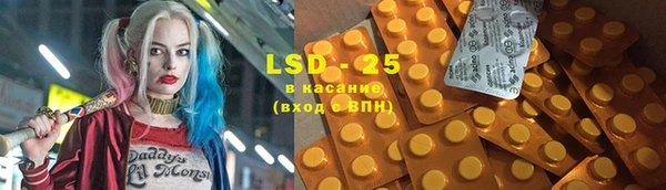 стаф Кодинск