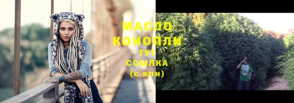 стаф Кодинск