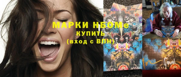 стаф Кодинск