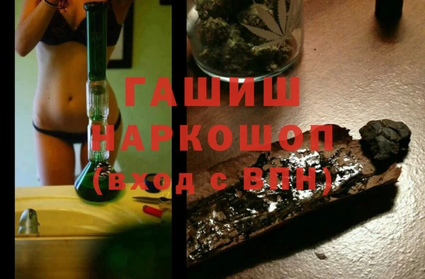стаф Кодинск