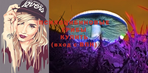 стаф Кодинск