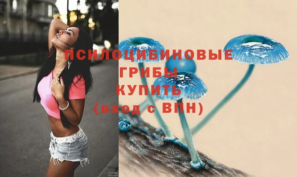 стаф Кодинск