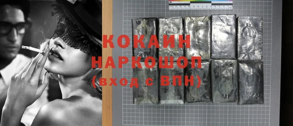 стаф Кодинск