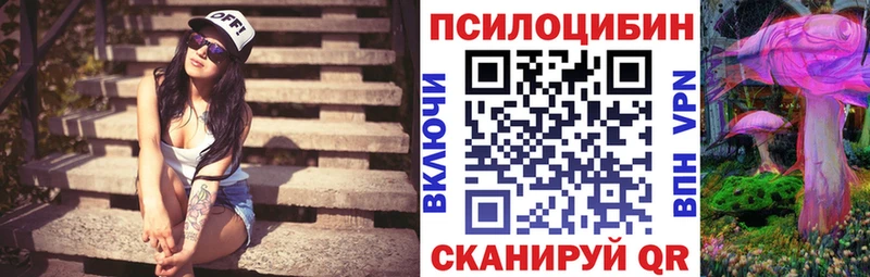 Купить закладки  Волжск  Галлюциногенные грибы Psilocybine cubensis 